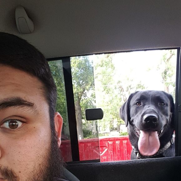 Meet your Posher, Genaro - Picture 1 of 1